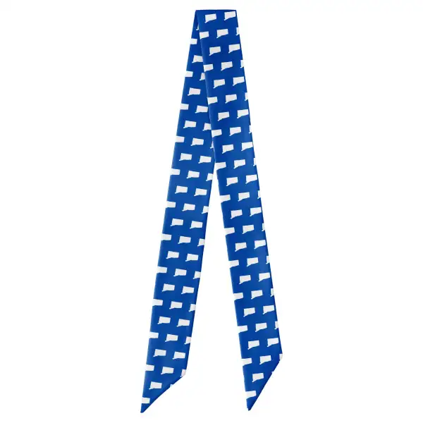 Connecticut State Outline Design Hair Scarf