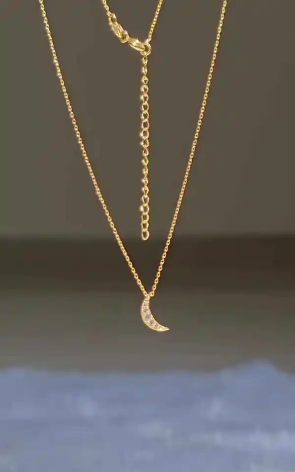 Crescent Moon Everyday Necklace