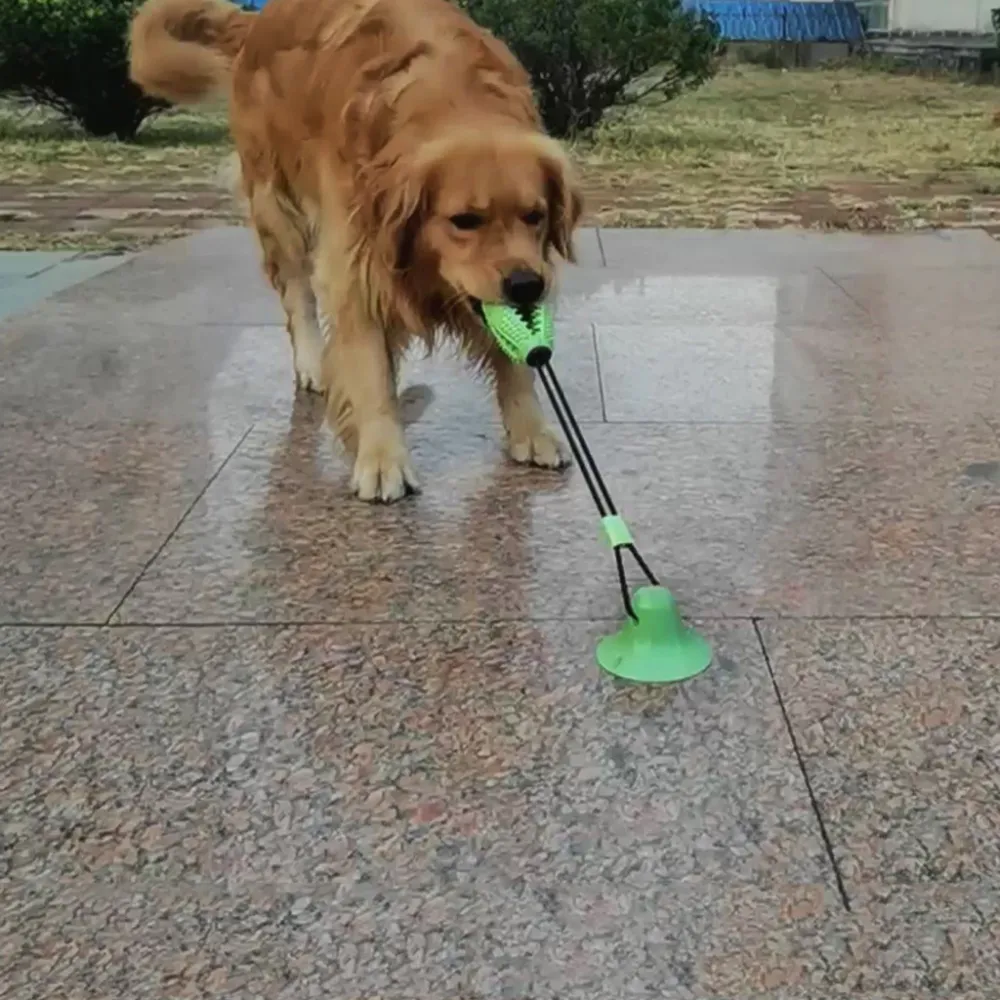 Dental Chew Ball for Dogs - Teeth Cleaning Suction Cup Toy