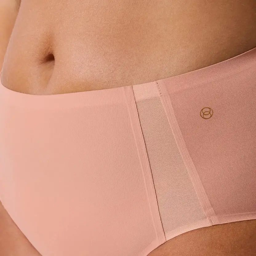 Mesh Detail Bikini Panty