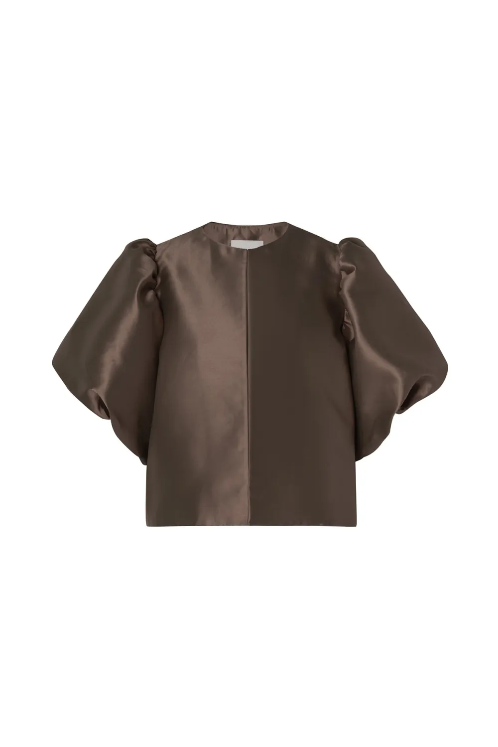 Puff Sleeve Scarf Neck Blouse