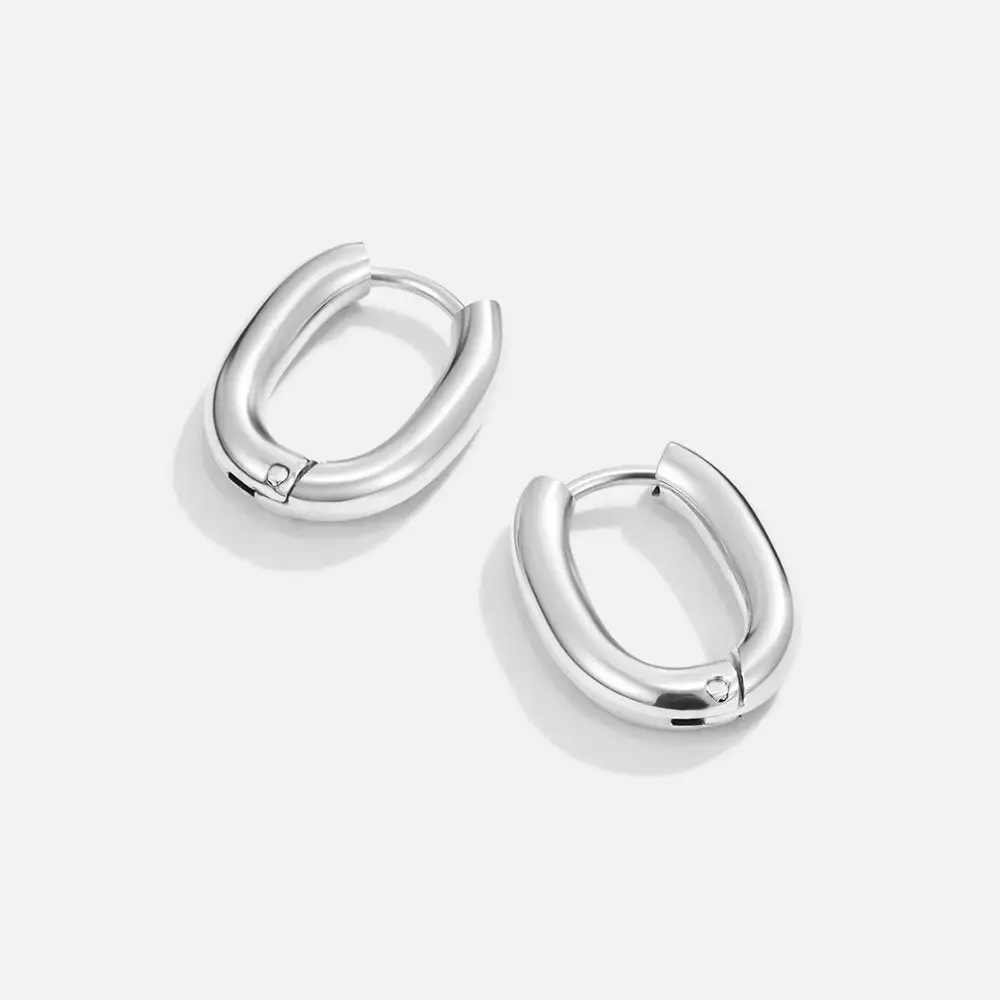 Compact Stainless Steel Hoop Earrings
