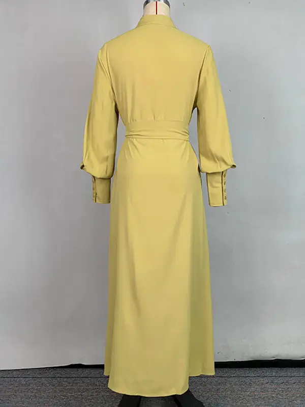 Pleated Buttoned Long Neck Maxi Dress