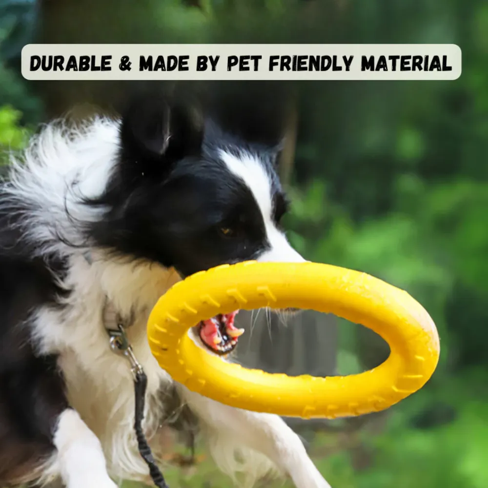 Pet Dog Training Frisbee | Dog Training Pull Ring and Flying Plate | Dog Toy | Dog Flying Toy | Dog Interactive Toy