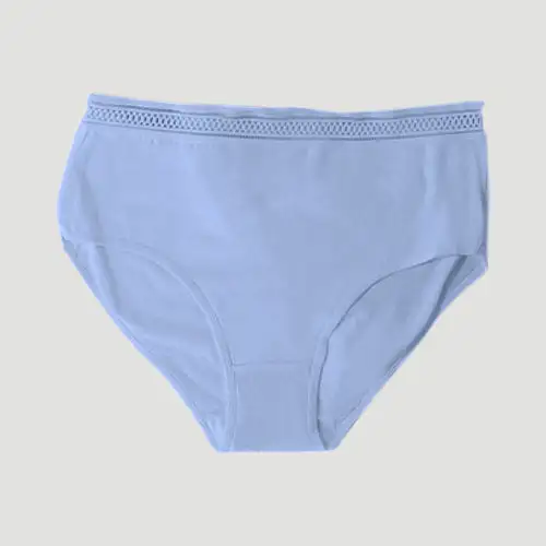 Embroidered Waist Cotton Panty