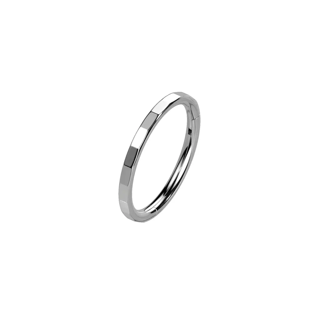 Modern Titanium Hinged Hoop Ring