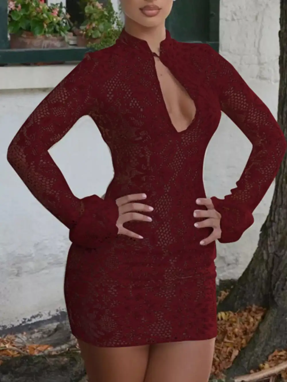Lace Cutout Long Sleeve Mini Dress