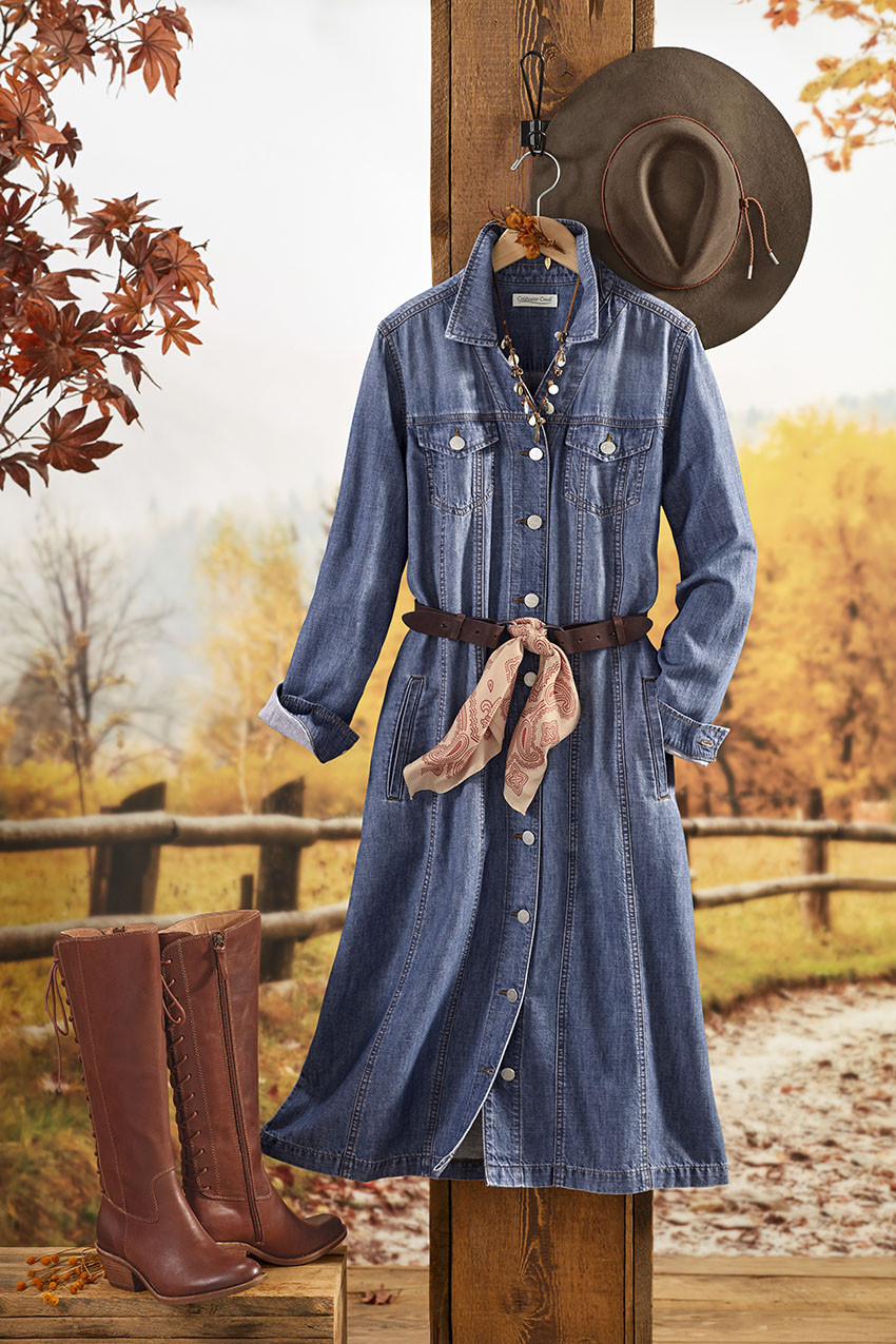 New Roads Shirtdress