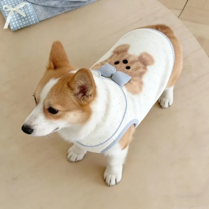 Pet Dog Clothes Super Cute Bear Three-Dimensional Bow Skin-Friendly Vest Medium-Sized Dog Corgi Shiba Inu French Bulldog Pug