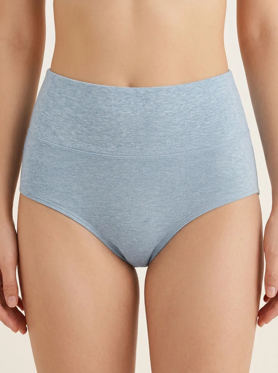 Modern Seamless High-Waisted Design Women's Panties