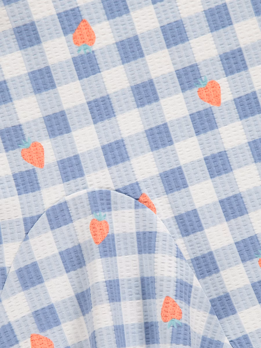 Blue Gingham Strawberry Ribbed Dress detail 1