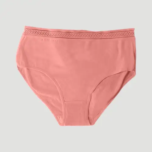 Embroidered Waist Cotton Panty