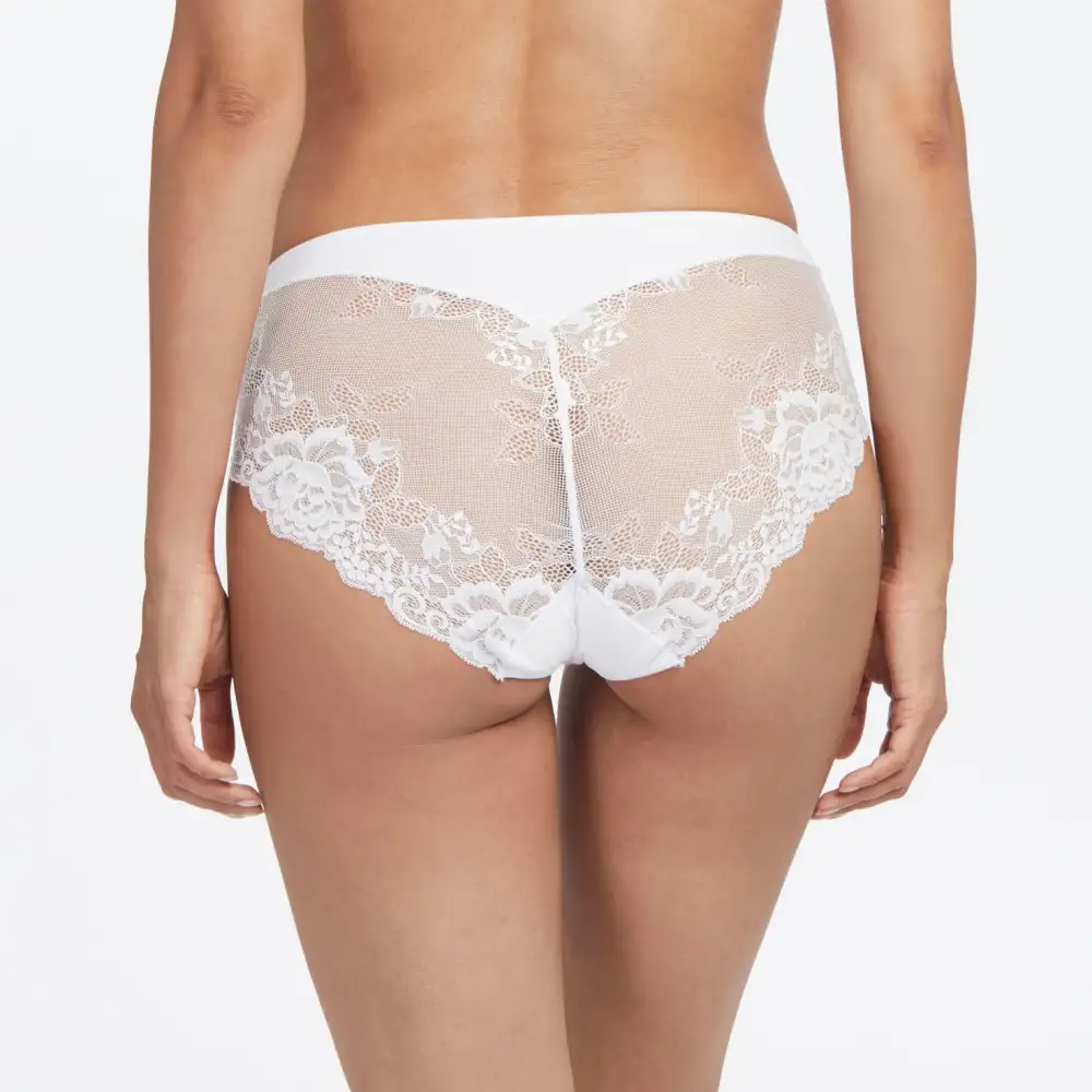 Women's Cotton Gusset Lace Sheer Detail Microfiber Cotton Brief Panty