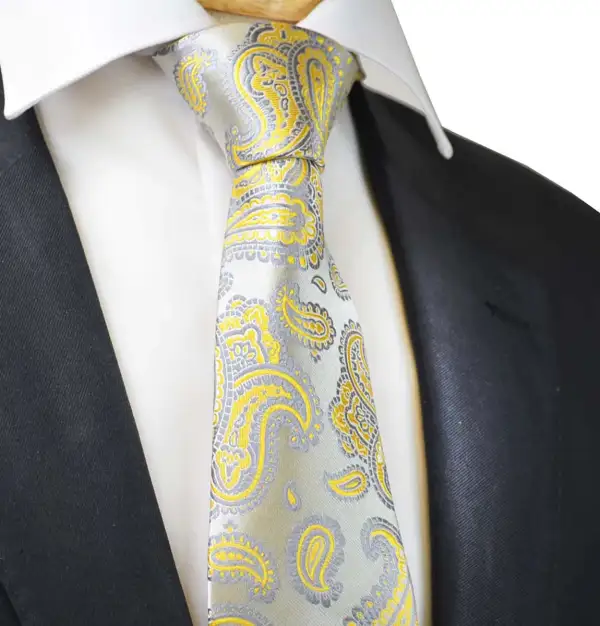 Formal Paisley Men's Necktie