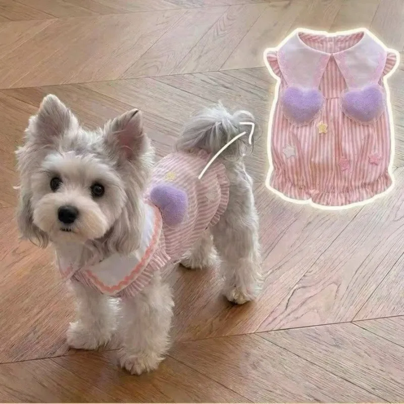 Summer Thin Pet Skirt Teddy Bichon Cat Small Dog Poodle Pomeranian Pomeranian Maltese Dog Clothes