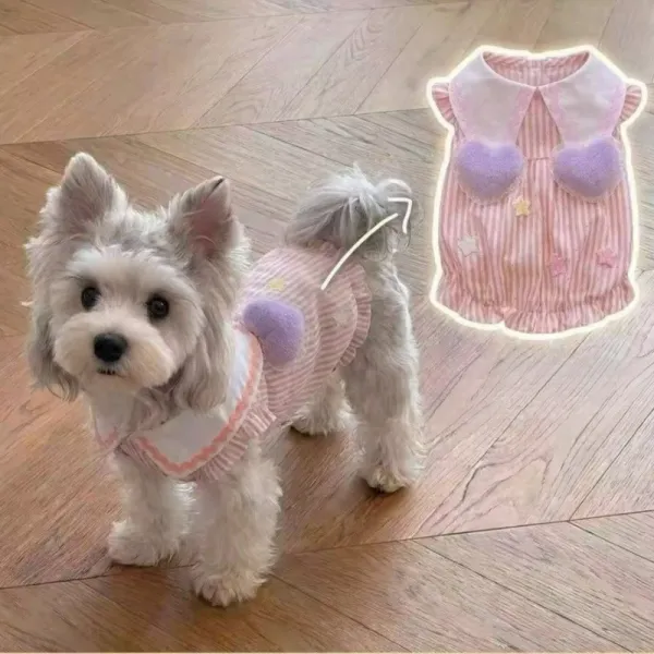 Summer Thin Pet Skirt Teddy Bichon Cat Small Dog Poodle Pomeranian Pomeranian Maltese Dog Clothes