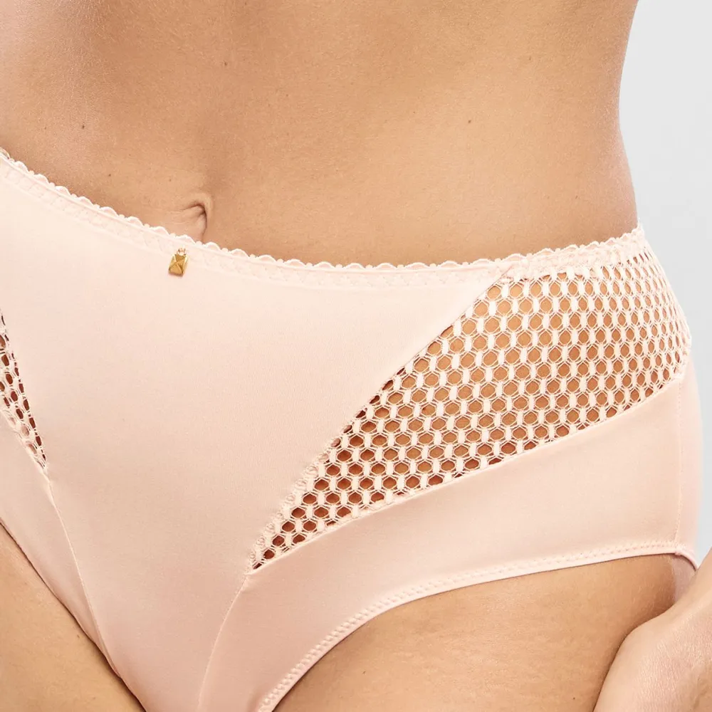 Women's Full Coverage High Waist Elastic Waistband Cotton Gusset Lace Mesh Cotton Soft Fabric Brief Panty