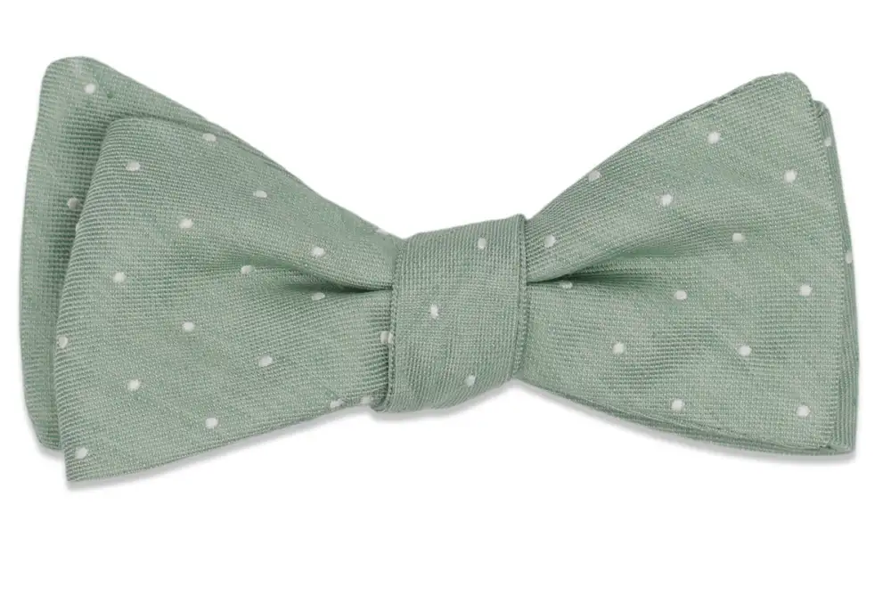 Contemporary Patterned Dotted Bow Tie
