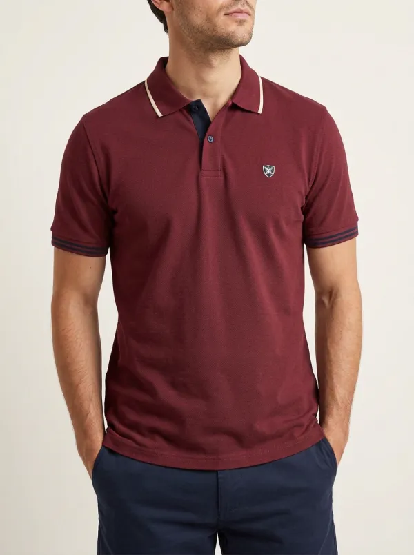Men's Classic Comfort Contrast Trim Embroidered Polo Shirt