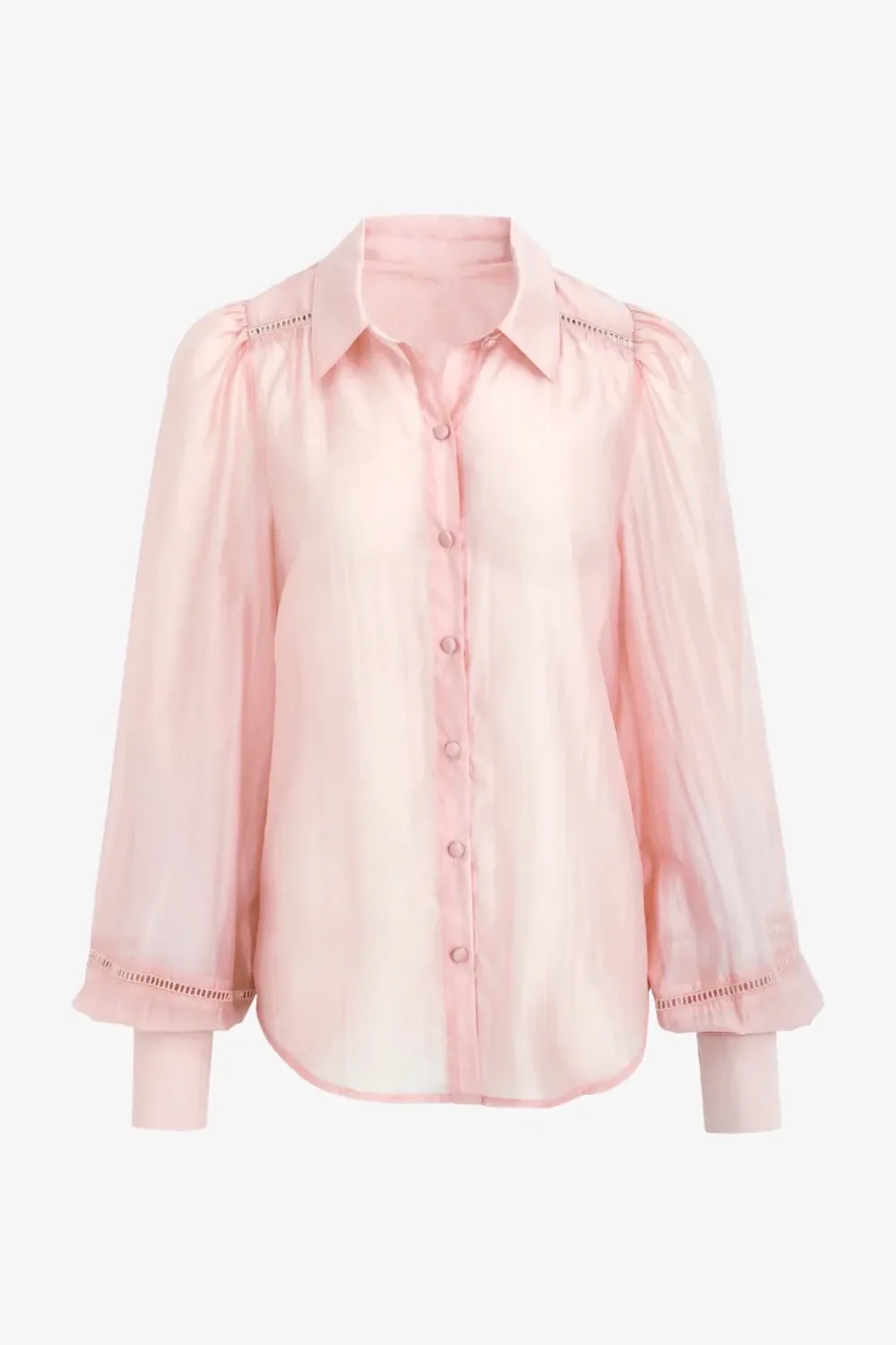 Blush Lace Detail Sheer Shirt