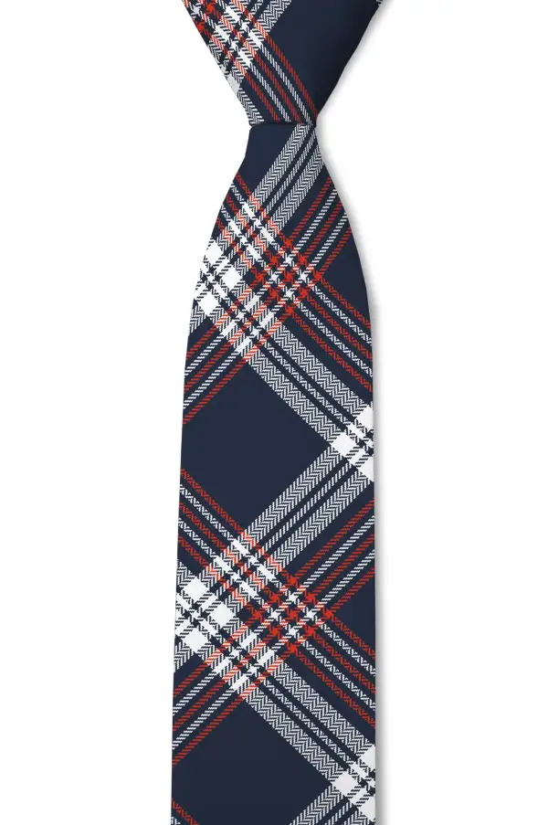 Tailored Plaid Pattern Necktie