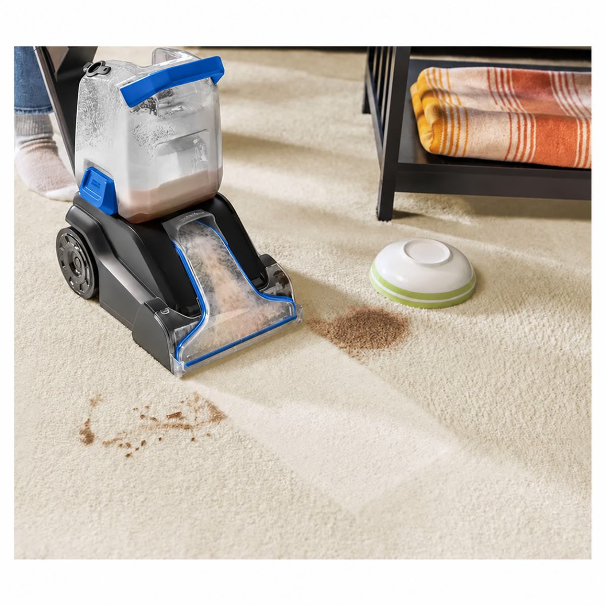 Carpet spot cleaning near a pet bowl