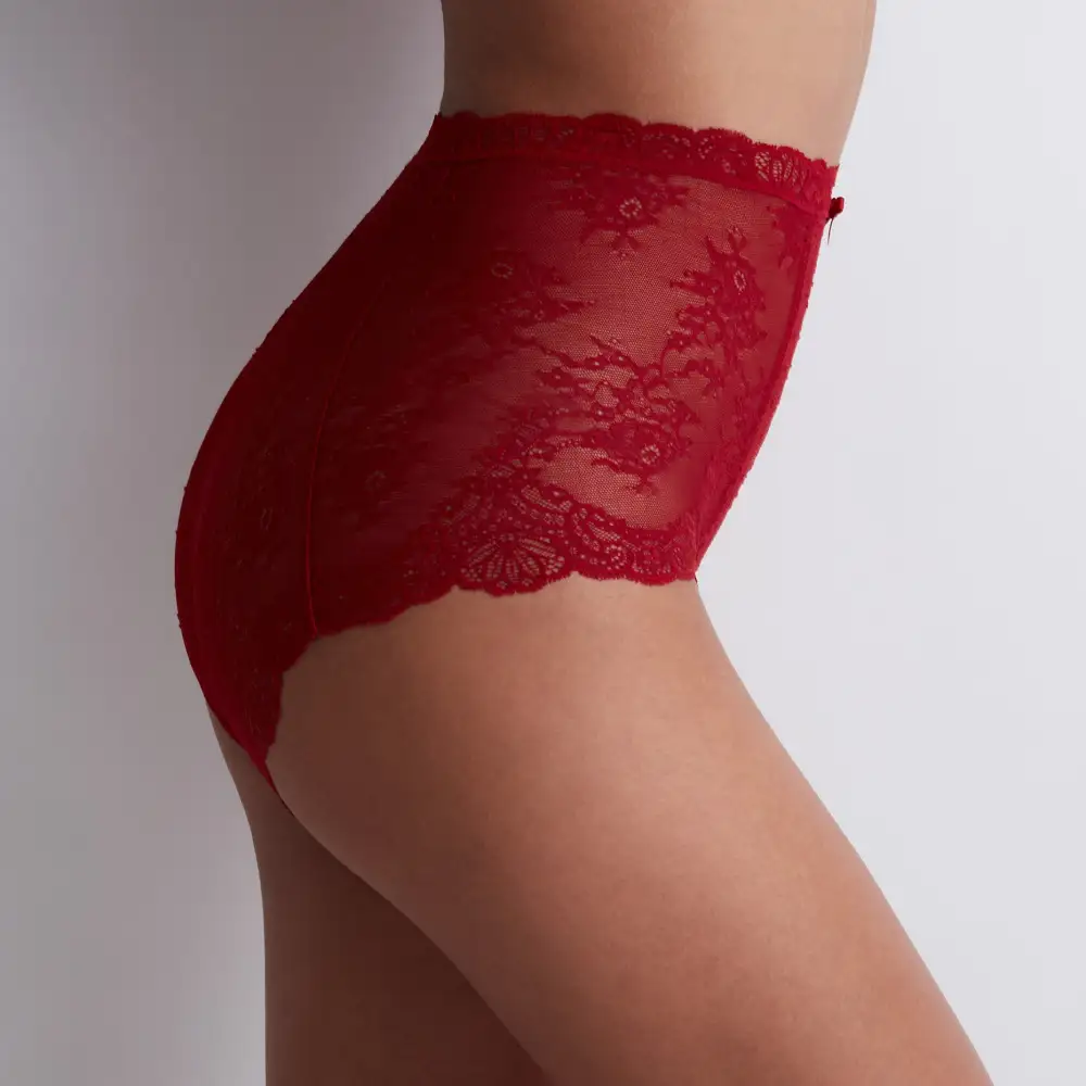 Women's Floral Lace Sheer Detail Shaping High Waist Panty
