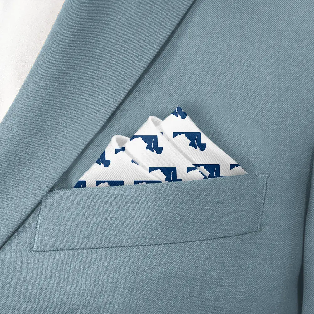 Neat Polished Suit Pocket Square