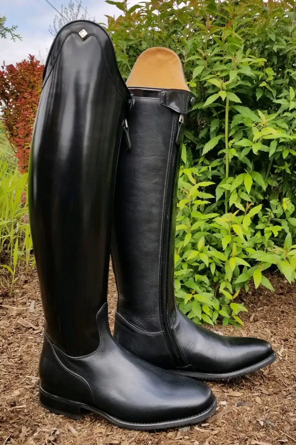 Raffaello Brushed Leather Dressage Boot