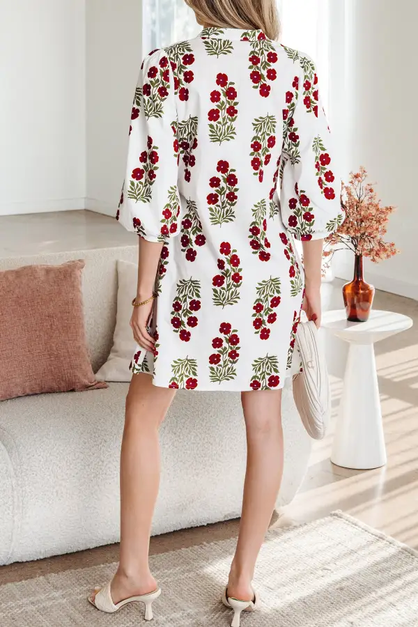Women's Floral Print V Neck Loose Fit Mini Dress