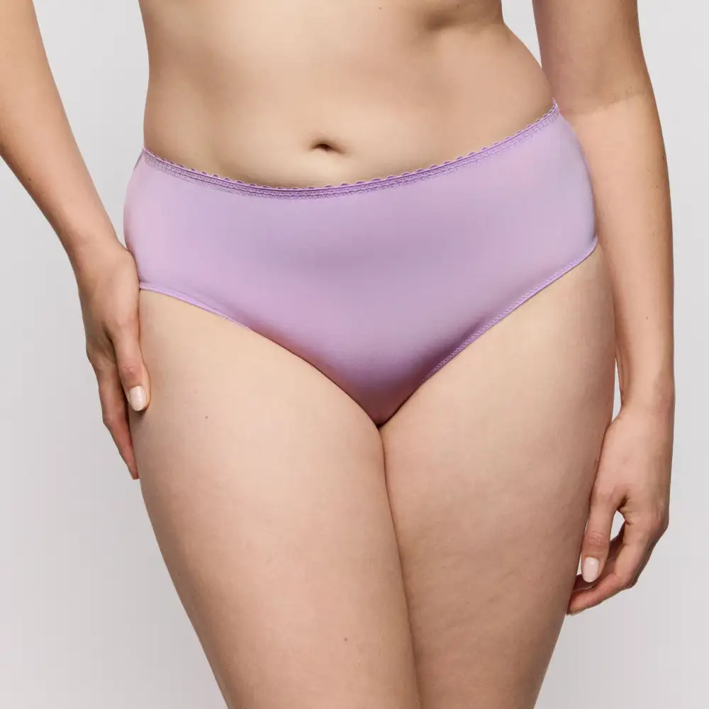 Women's Flat Seams Elastic Waistband Cotton Gusset Embroidery Cotton Retro Detail Soft Fabric Brief Panty