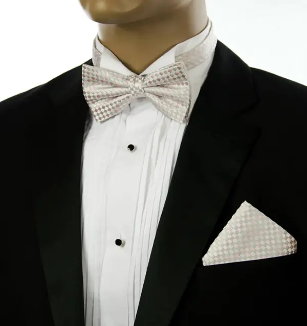 Modern Silk Bow Tie Set