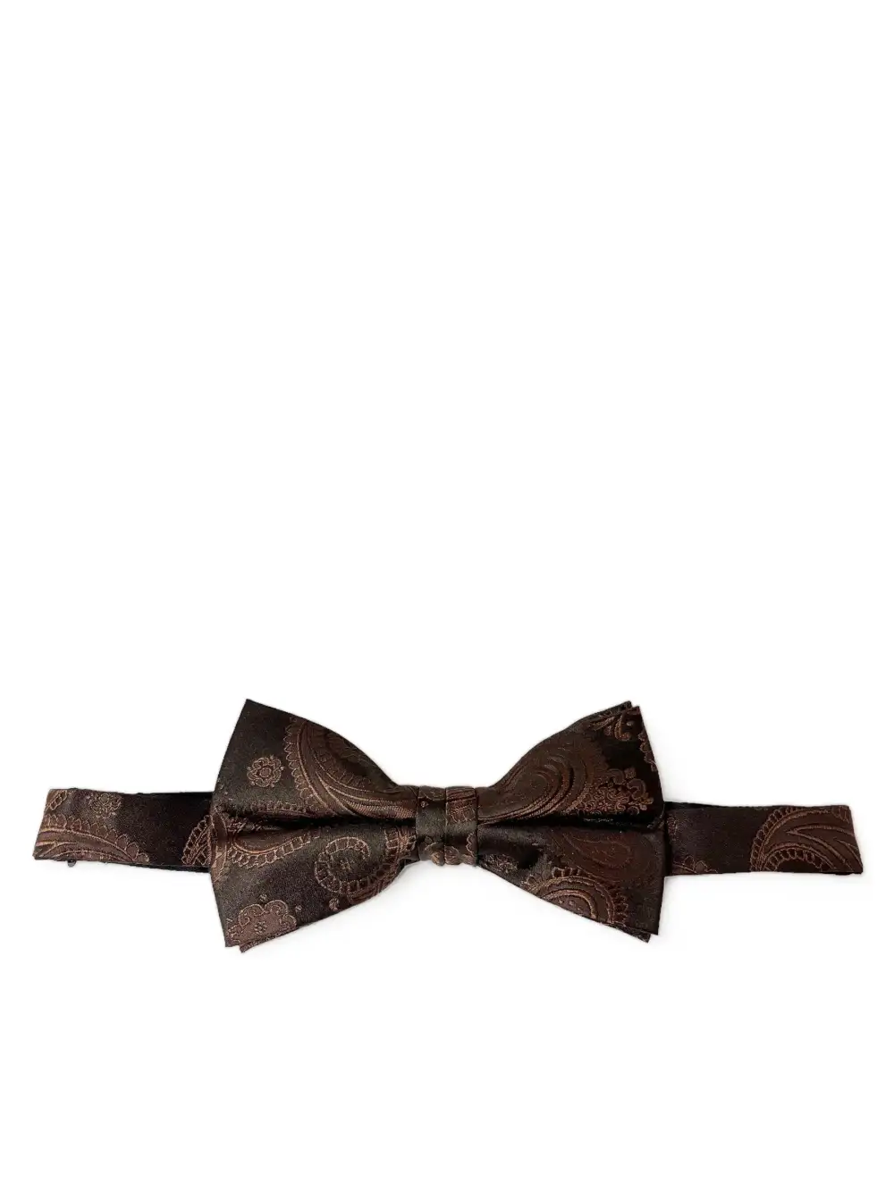 Distinguished Paisley Silk Bow Tie