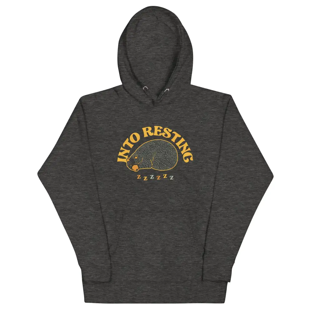 Into Resting Unisex Comfort Hoodie