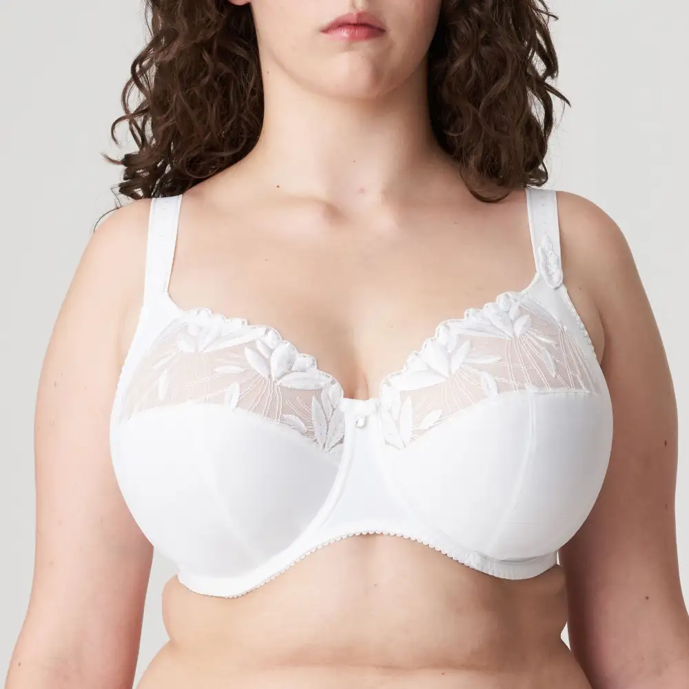 Women's Full Coverage Underwire Three-Part Cup Embroidery Shimmer Detail Bra