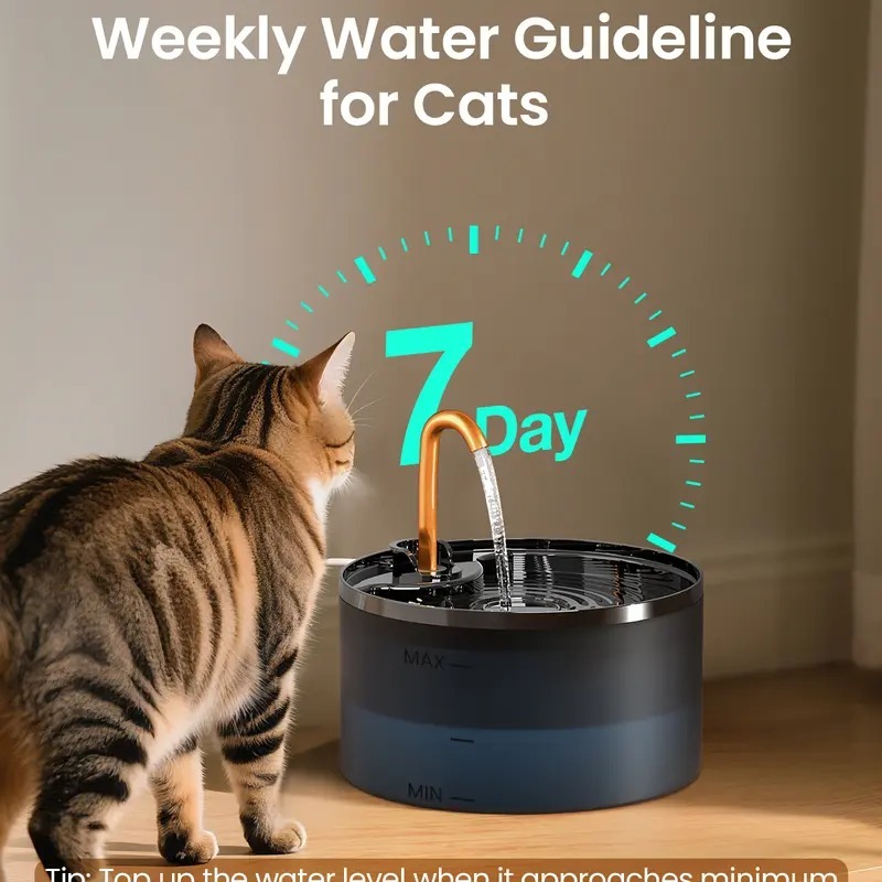 Water changing and pump cleaning guidance