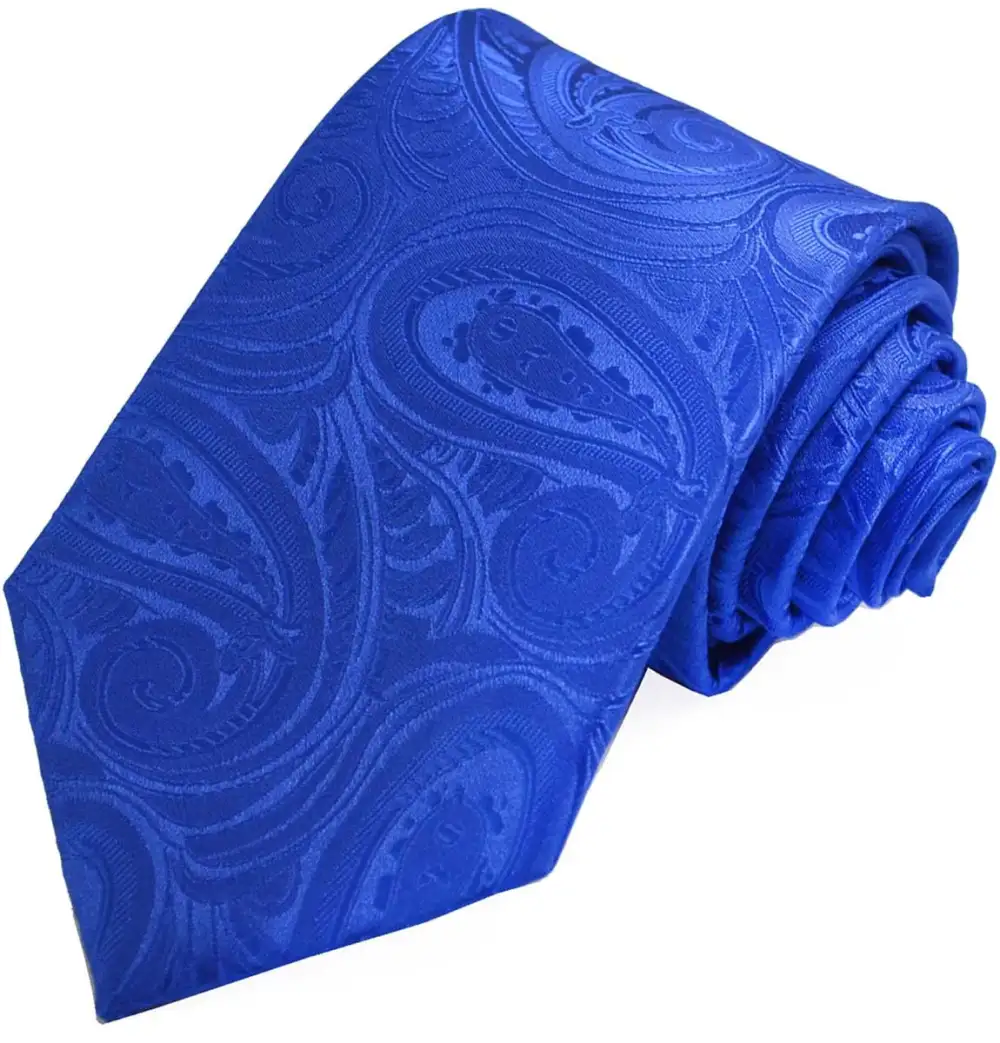 Modern Paisley Men's Necktie