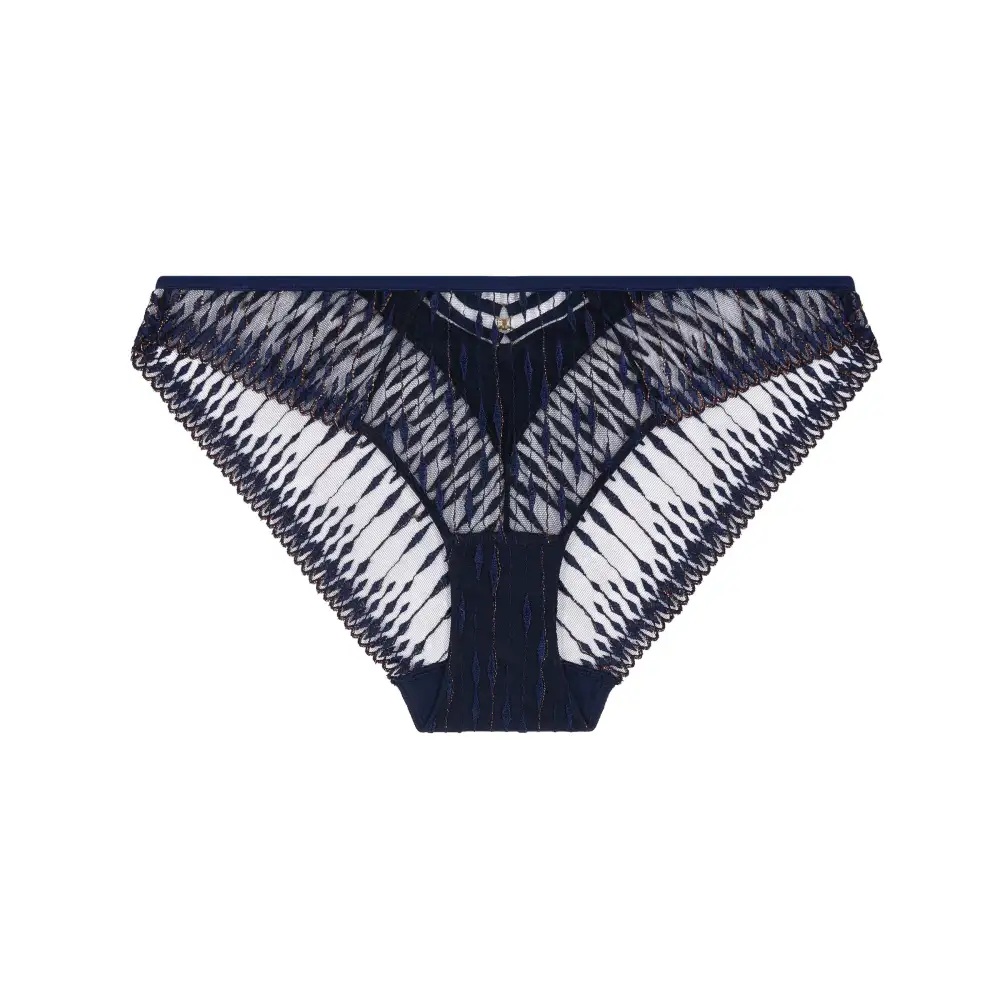 Women's High Cut Elastic Waistband Cotton Gusset Embroidery Sheer Detail Cotton Cutout Detail Soft Fabric Stretch Fit Bikini Panty