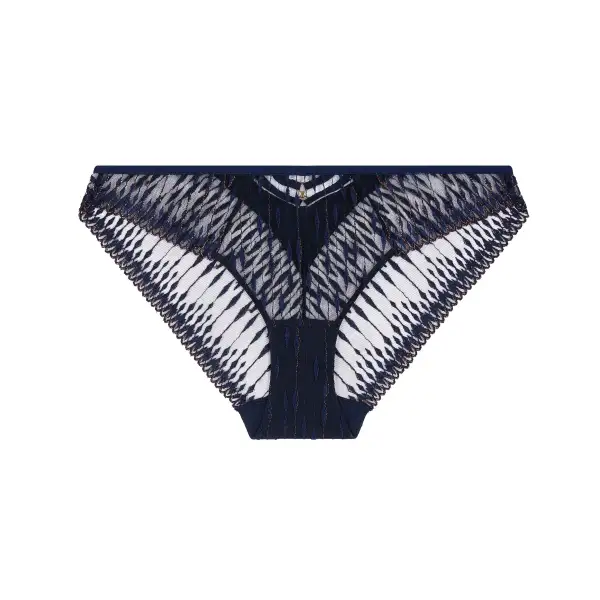 Women's High Cut Elastic Waistband Cotton Gusset Embroidery Sheer Detail Cotton Cutout Detail Soft Fabric Stretch Fit Bikini Panty