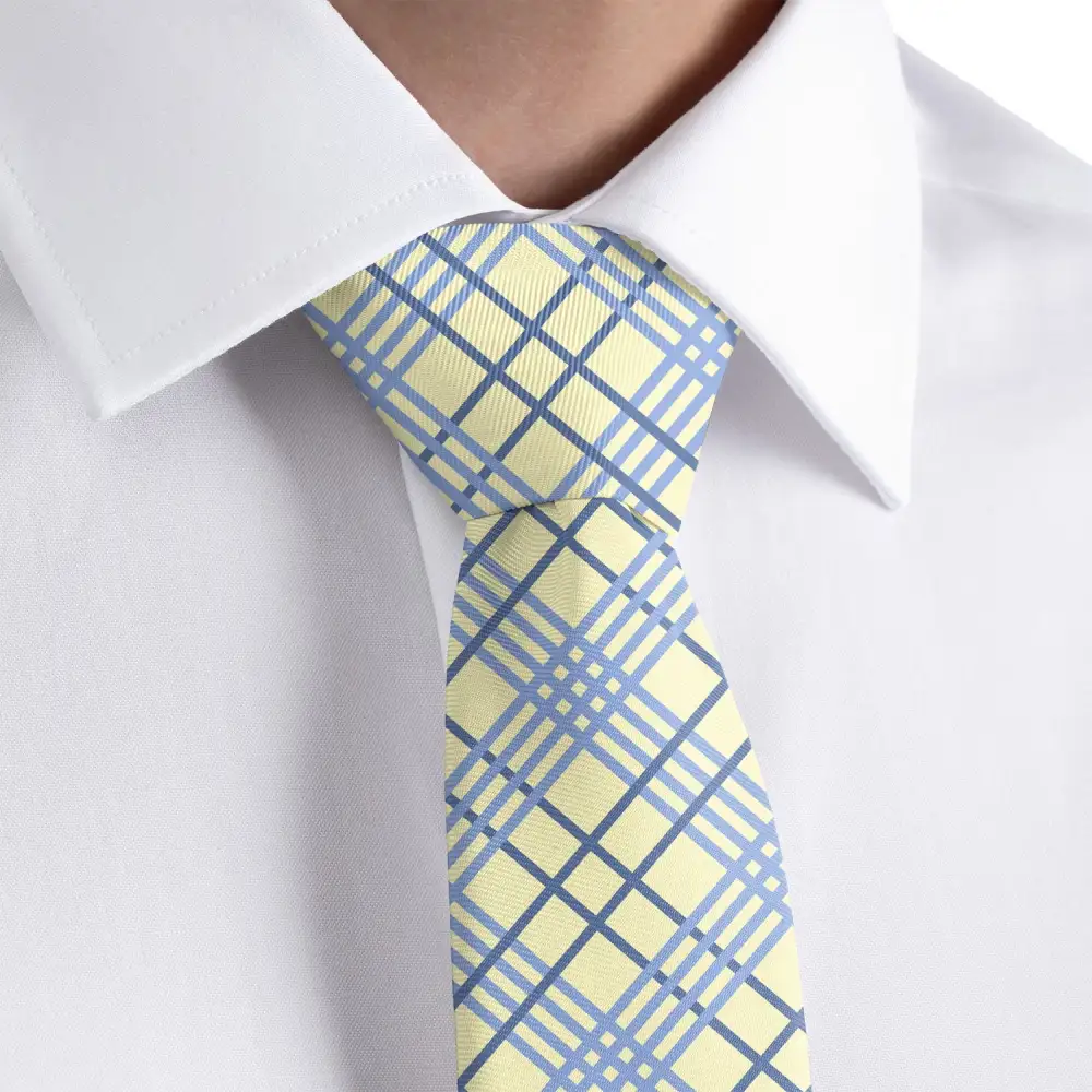 Polished Plaid Accent Necktie