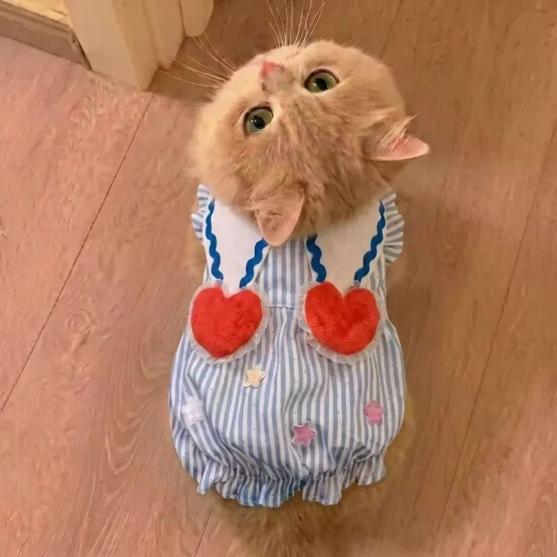 Summer Thin Pet Skirt Teddy Bichon Cat Small Dog Poodle Pomeranian Pomeranian Maltese Dog Clothes