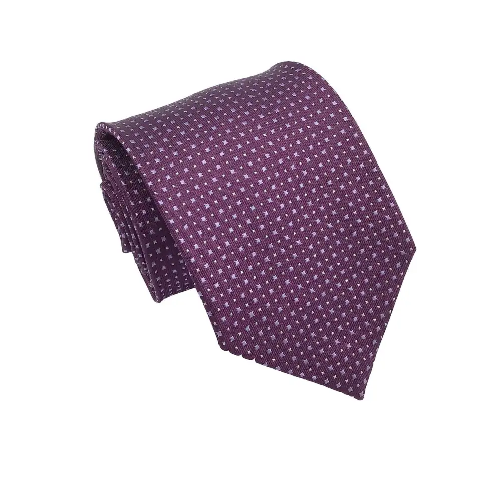 Silk Plum Tie