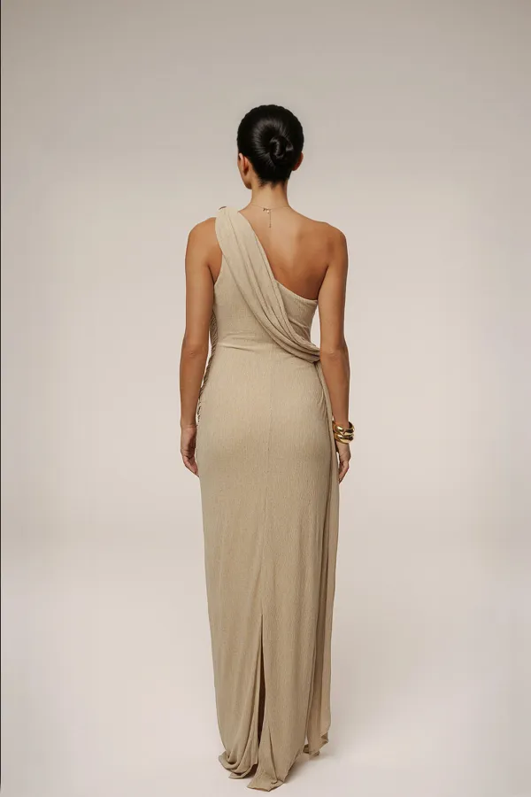 And One Shoulder Ruched Maxi Dress
