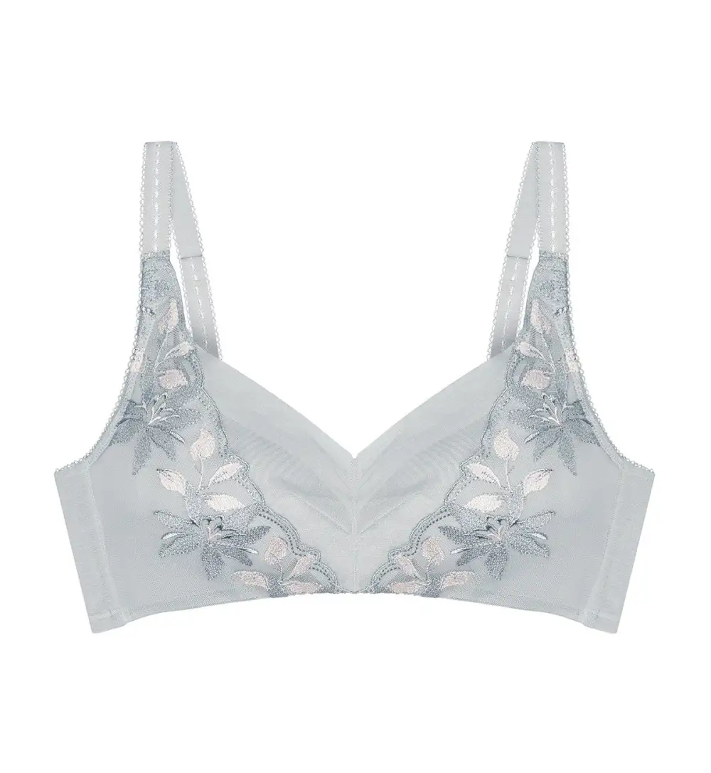 Women's Non-Wired Padded Sheer Bra