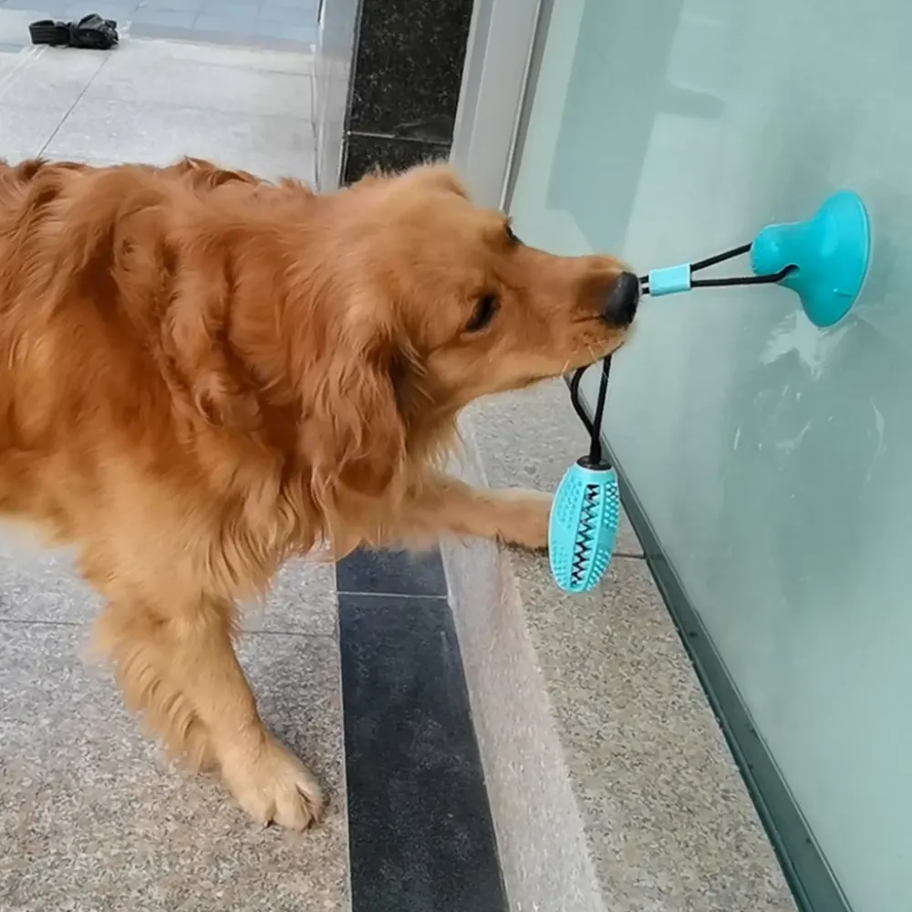 Dental Chew Ball for Dogs - Teeth Cleaning Suction Cup Toy