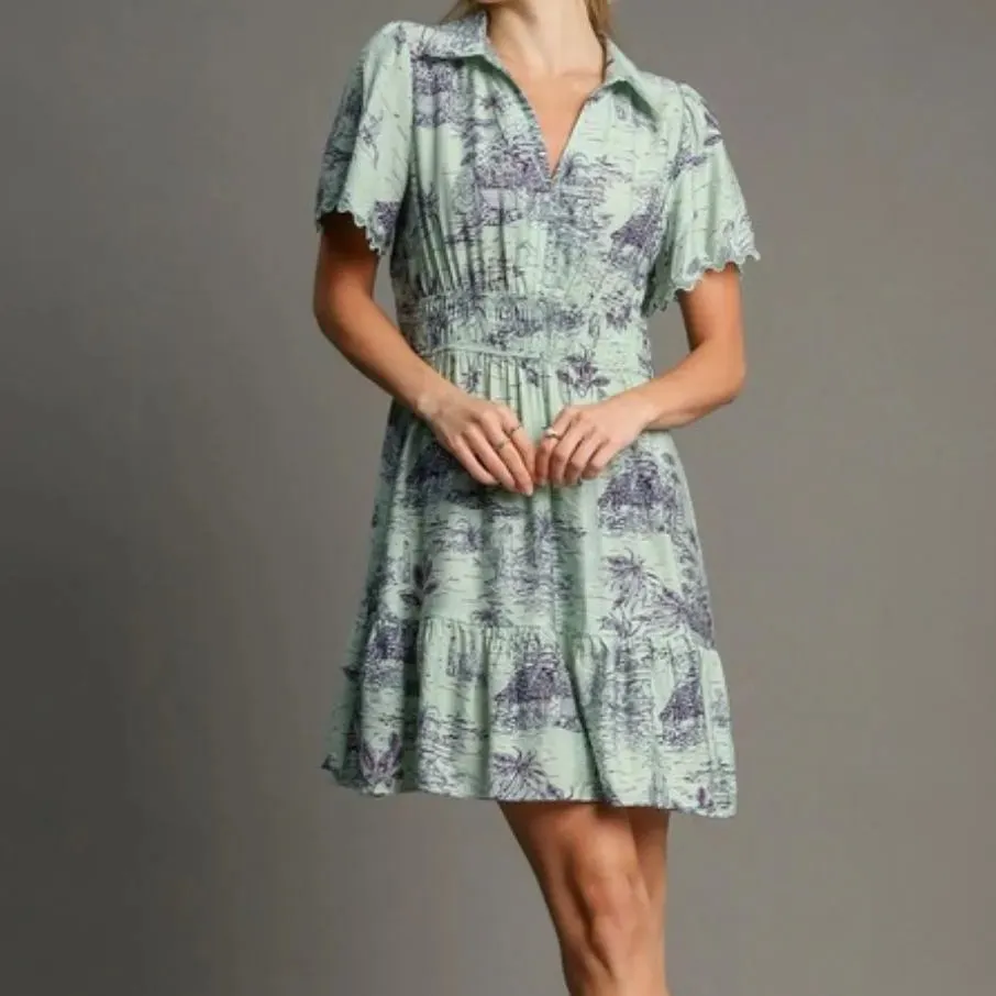Landscape Print Collared Mini Dress