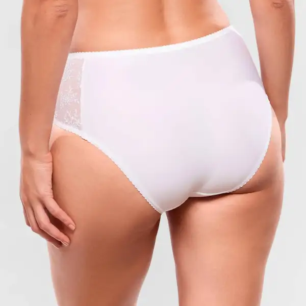 Women's Mid Rise Flat Seams Elastic Waistband Cotton Gusset Embroidery Mesh Sheer Detail Cotton Satin Decorative Bow Lightweight Brief Panty