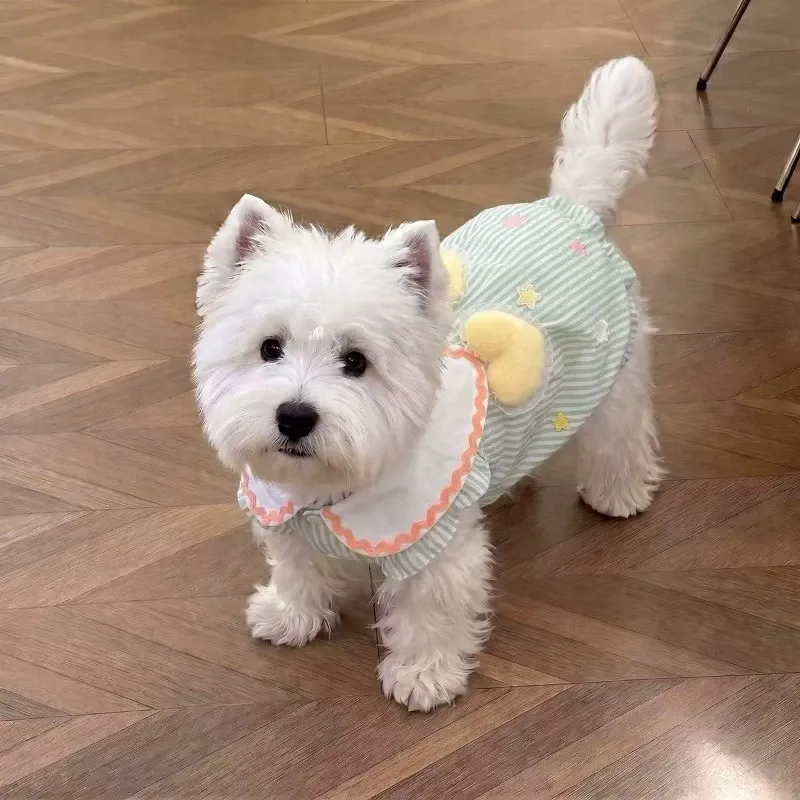 Summer Thin Pet Skirt Teddy Bichon Cat Small Dog Poodle Pomeranian Pomeranian Maltese Dog Clothes