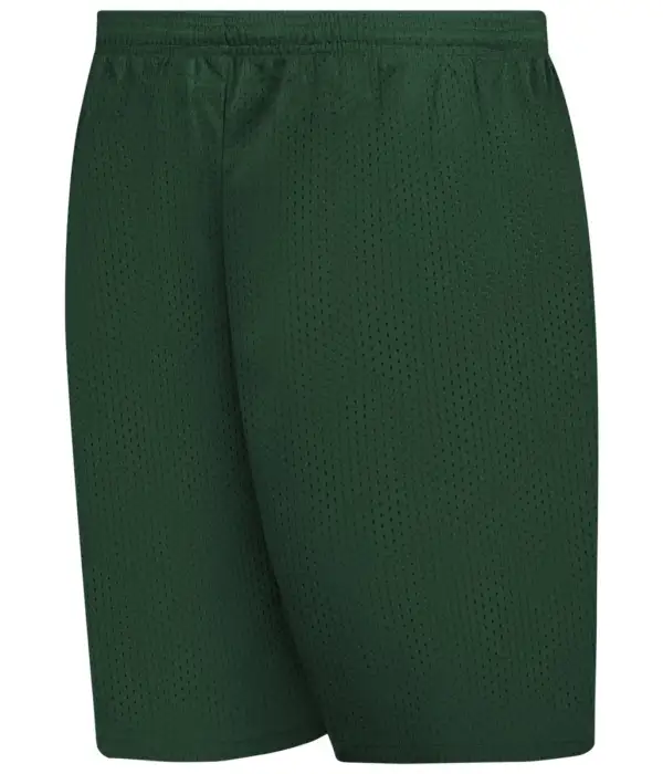 Men's Streamlined Mesh Shorts