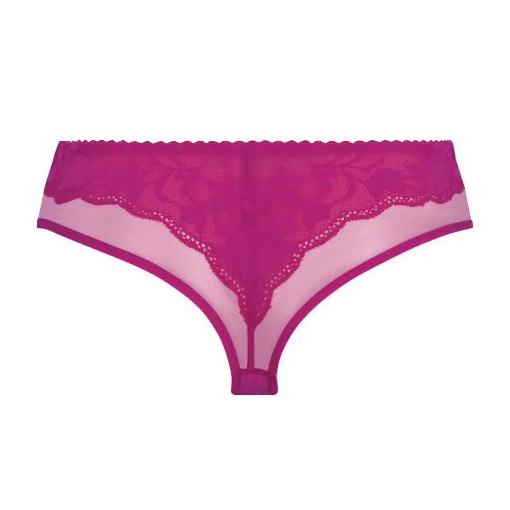 Women's Lace Mesh Shimmer Detail Boxer Panty